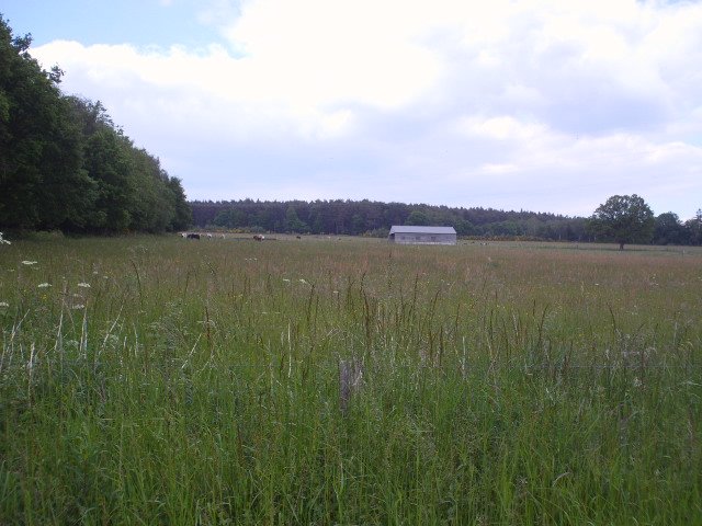 2014hwk 080.jpg